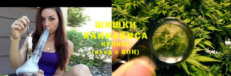 Бошки Шишки SATIVA & INDICA  цена наркотик  Карпинск 